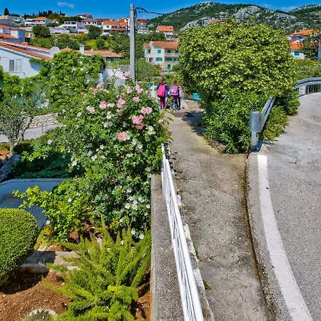 Jacky * Hvar Town